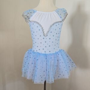 Blue White And Silver Tutu Ballet Dance Costume